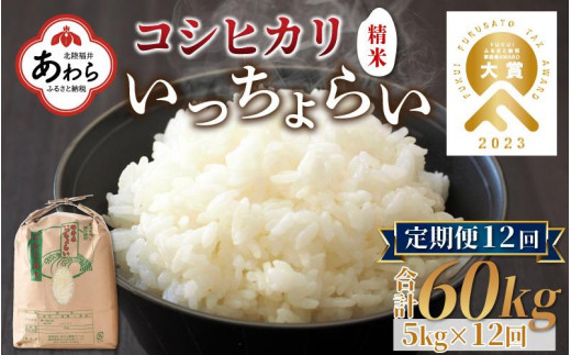 【令和4年産】《定期便12回》いっちょらい 精米 5kg(計60kg)/ 福井県産 ブランド米 コシヒカリ ご飯 白米 新鮮 大賞 受賞 410536 - 福井県あわら市