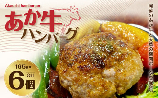 あか牛 ハンバーグ 165g×6パック 合計990g 肉 お肉 牛肉 赤牛 和牛 925577 - 熊本県西原村