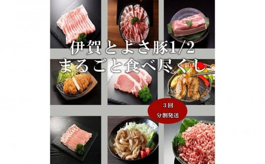 【3回分割発送】伊賀とよさ豚1/2まるごと食べ尽くし 676739 - 三重県伊賀市