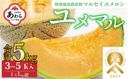 【先行予約】マルセイユメロン 3～5玉入「ユメマル」5kg 《とろけるような食感の絶品 赤肉メロン》／ 果物 フルーツ 産地直送 大賞 受賞 ※2024年6月中旬より順次発送 405999 - 福井県あわら市