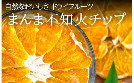 ドライフルーツ しらぬいチップ 100g ( 20g × 5袋 ) 和歌山県産 果物使用 自社製造 【みかんの会】