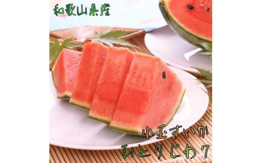 【厳選】小玉すいか『ひとりじめ７』Ｍサイズ/１玉入り【農家直送】【先行予約】【和歌山県産】 935456 - 和歌山県九度山町
