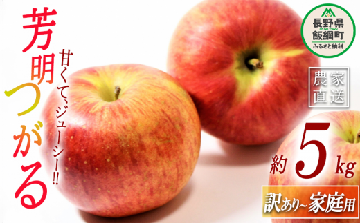 りんご 芳明つがる 訳あり 5kg 米澤農園 沖縄県への配送不可 2023年9月上旬頃から2023年9月中旬頃まで順次発送予定 令和5年度収穫分 傷 不揃い リンゴ 林檎 果物 フルーツ ほうめい つがる 信州 長野 13000円 予約 農家直送 長野県 飯綱町 [0795] 936224 - 長野県飯綱町