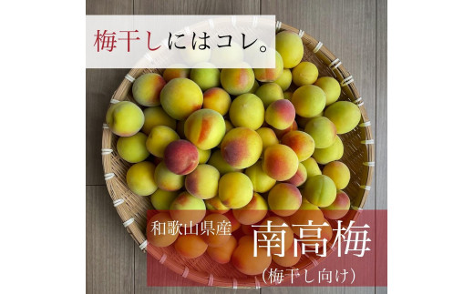 梅干しといえばコレ! 和歌山県産 南高梅 3kg(Lサイズ以上) 936232 - 和歌山県橋本市