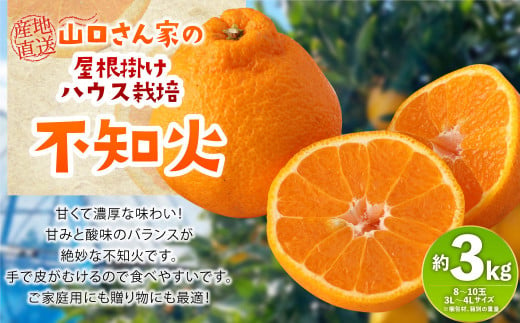 屋根掛けハウス栽培 山口さん家の不知火 約3kg 柑橘 果物 フルーツ