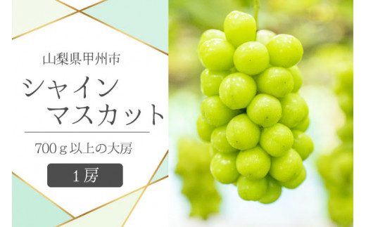 甲州市産シャインマスカット1房 大房700g以上 産地直送（VYD）B