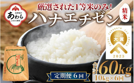 一等米】令和5年産 ＜定期便6回＞ ハナエチゼン 精米 10kg×6回（60kg