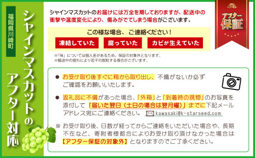 シャインマスカット約1.4kg(約350g×4パック) JA3 - 福岡県川崎町