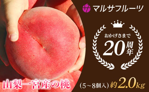 ＜2024年先行予約＞山梨一宮産の桃 5〜8個入約2kg 朝採り産地直送 088-013 | もも 桃 先行予約 マルサフルーツ 古屋農園 山梨 笛吹  桃 ピーチ 果物 フルーツ 新鮮 旬 先行予約 2kg 有機 国産 もも 笛吹市 桃 高級 もも 山梨県笛吹市 果物 ピーチ 2024年先行予約