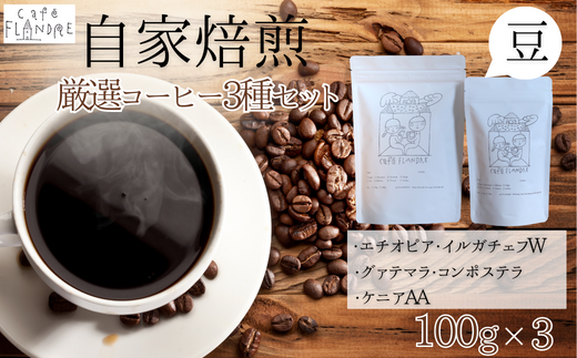 【自家焙煎】カフェ・フランドル厳選コーヒー3種セット（100g×3・豆） 624812 - 岐阜県垂井町
