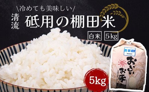 ふるさと納税【令和６年度米】清流 砥用の棚田米 白米：5kg　ヒノヒカリ　白米 1450851 - 熊本県美里町