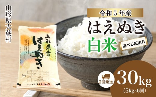 令和5年産 大蔵村 はえぬき 【白米】 定期便 30kg （5kg×1か月間隔で6回お届け）