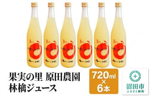 果実の里 原田農園 林檎ジュース 720ml×6本 りんごジュース ストレート100％果汁