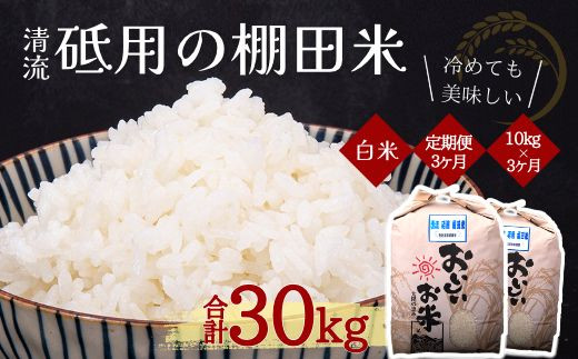 【先行予約】ふるさと納税　令和６年産【3ヶ月定期便】清流 砥用の棚田米 白米：10kg　ヒノヒカリ　白米 1450854 - 熊本県美里町