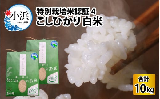 【令和5年産】特別栽培米認証4こしひかり 白米5kg×2袋 938074 - 福井県小浜市