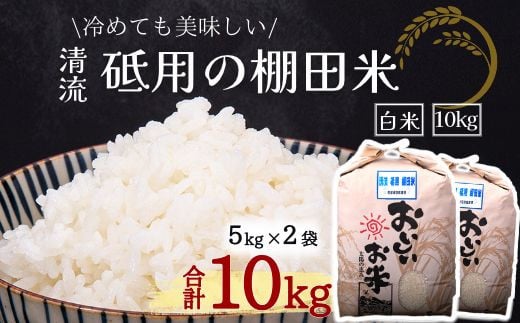 ふるさと納税【令和6年度米】清流 砥用の棚田米 白米：10kg　ヒノヒカリ　白米 1450852 - 熊本県美里町