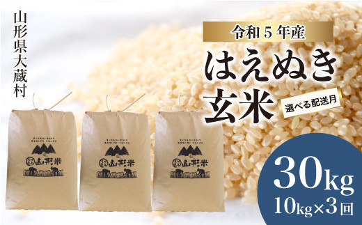 令和5年産 大蔵村 はえぬき 【玄米】 30kg定期便 （10kg×3回発送）|株式会社ちいき物産（もがみ南部営業所）