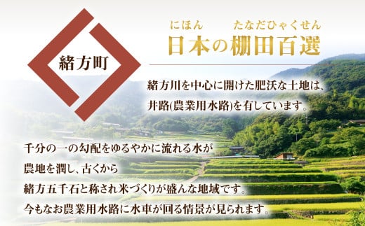 大分県 緒方産 ひのひかり 5kg 専用箱入り