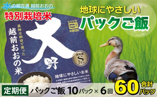 【先行予約】【6ヶ月定期便】地球にやさしいパックご飯 10食入り【白米】× 6回　計60食　減農薬・減化学肥料 「特別栽培米」 947682 - 福井県大野市