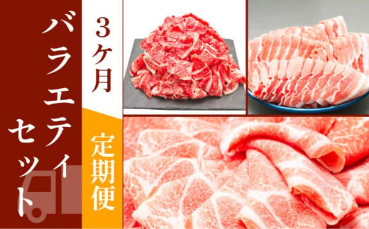 お肉の定期便　バラエティセット　(３か月)　お肉合計　9kg 878425 - 高知県高知市
