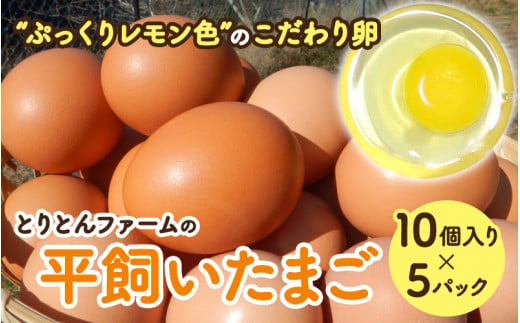 とりとんファームの平飼いたまご10個入り×5パック / 和歌山 田辺市 卵