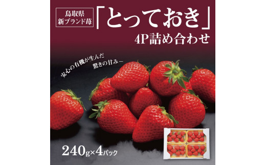 1026 鳥取県新ブランド苺「とっておき」4Ｐ詰合せ（苺工房たけうち 