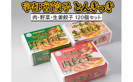 120個】宇都宮餃子とんきっき 20個入り肉・野菜・生姜餃子120個セット