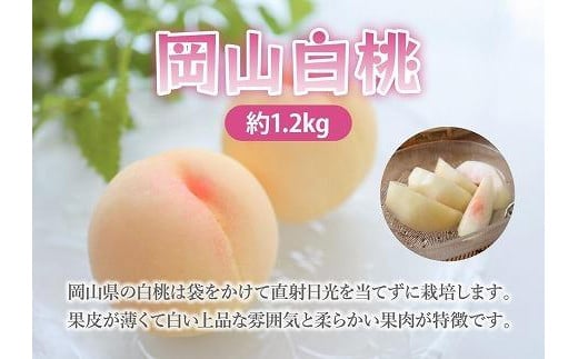 HN17 【7月発送】岡山白桃1.2kg（4～6玉） 938697 - 岡山県倉敷市 | au