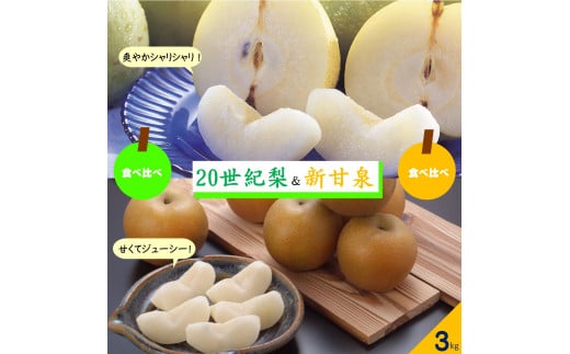 梨食べ比べ3㎏　（20世紀梨と新甘泉 しんかんせん） 845099 - 鳥取県米子市