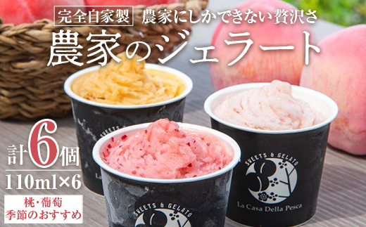 山梨　ピーチ専科ヤマシタの農家のジェラート6個入　アイスBOX【1246775】