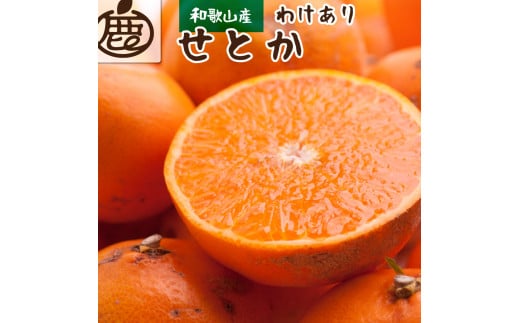 ＜2月より発送＞家庭用 せとか1kg+30g（傷み補償分）【柑橘・春みかんの王様】【わけあり・訳あり】【光センサー選果・食べ頃出荷】【2025年2月中旬より発送】【ikd126B】 1525796 - 和歌山県すさみ町