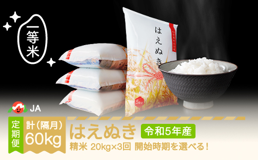 米 新米 はえぬき 隔月定期便 20kg×3回 精米 令和5年産 2024年1月下旬