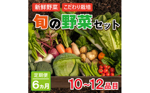 野菜 お楽しみ 定期便 6回 10~12品目 詰め合わせ セット 玉ねぎ とまと じゃがいも