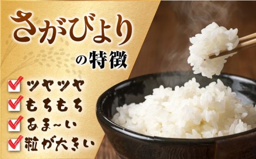 令和5年産 新米】特A獲得！お米マイスター厳選 さがびより 白米・玄米