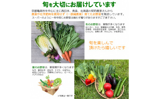 naka様 野菜セット追加あり 直販正本 その他 | tunegocio.pe