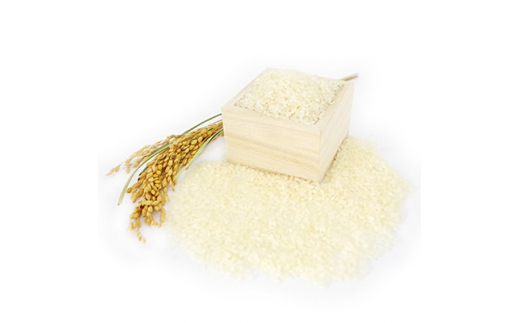 ＜令和4年産＞特別栽培米コシヒカリ多古米　精米10kg・玄米10kgセット【1030397】|たこまいらいふ萩原農場