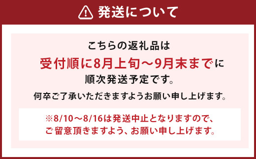 【8月上旬より順次発送予定】先行予約 筑後市産 梨 10～13玉