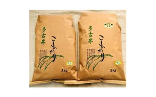 令和4年産＞特別栽培米 多古米コシヒカリ(精米3kg+玄米3㎏)【1032860