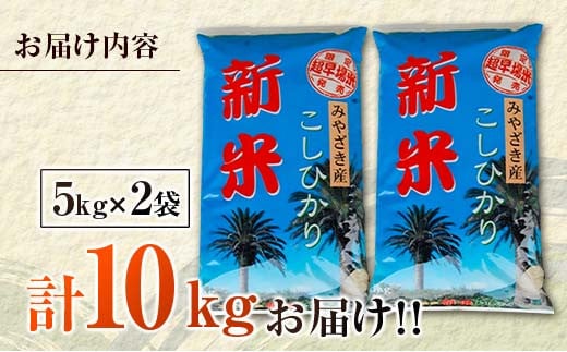 ≪数量限定≫新米コシヒカリ計10kg(5kg×2袋)　米　お米　ご飯　国産 BB73-23