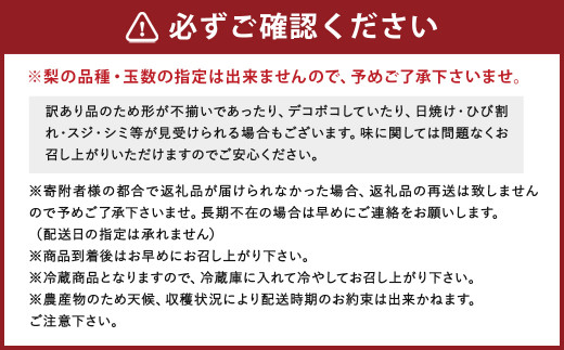 【8月上旬より順次発送予定】【訳あり】 筑後市産 梨 14～16玉 品種おまかせ