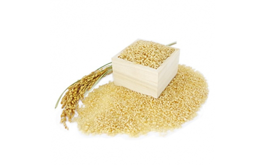 令和4年産＞特別栽培米コシヒカリ多古米 精米5kg・玄米5kgセット
