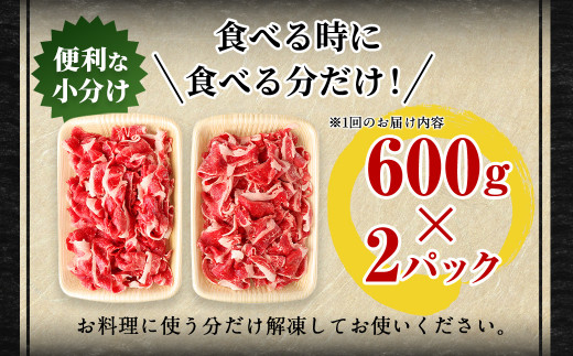 ふるさと納税 【6ヶ月定期便】豊後牛 切り落とし 1.2kg (600g×2) × 6回