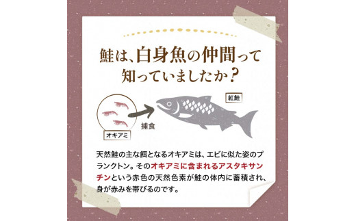 天然紅さけ切身 2kg（約10切れ×４袋） 鮭 さけ サケ しゃけ シャケ