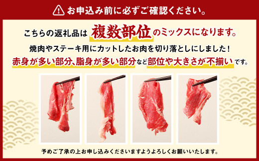 【6ヶ月定期便】豊後牛 切り落とし 1.2kg (600g×2) × 6回 牛肉 大分県産 国産 焼肉 ステーキ 霜降り