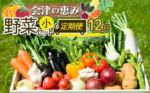 会津発　季節の野菜だより（小）定期便12回　【07208-0262】