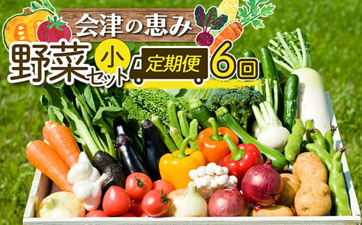 会津発　季節の野菜だより（小）定期便6回　【07208-0261】