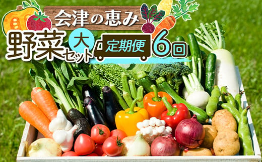 会津発　季節の野菜だより（大）定期便6回　【07208-0264】