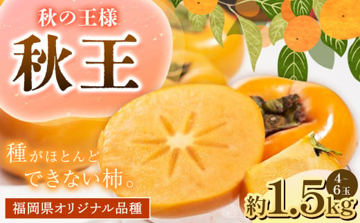 A198 福岡県産 ブランド柿・秋王 約1.5kg(4～6玉) 【2024年10月上旬～11月下旬発送予定】 柿 甘柿 秋王 果物 くだもの フルーツ 932919 - 福岡県みやま市