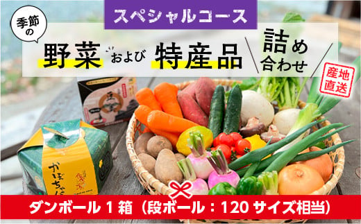 季節の野菜 詰め合わせ「スペシャルコース」 472833 - 熊本県美里町