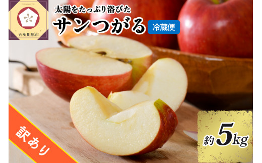 訳あり りんご 5kg  9月 サンつがる  青森【2023年 リンゴ 林檎 果物 クール便】 